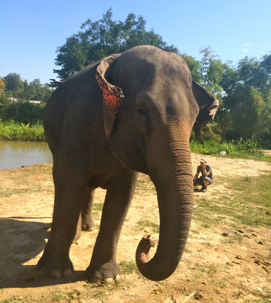 Elephant Retirement Park