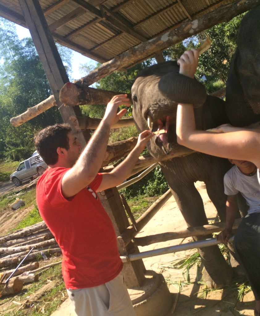 Chris feeding two elephants