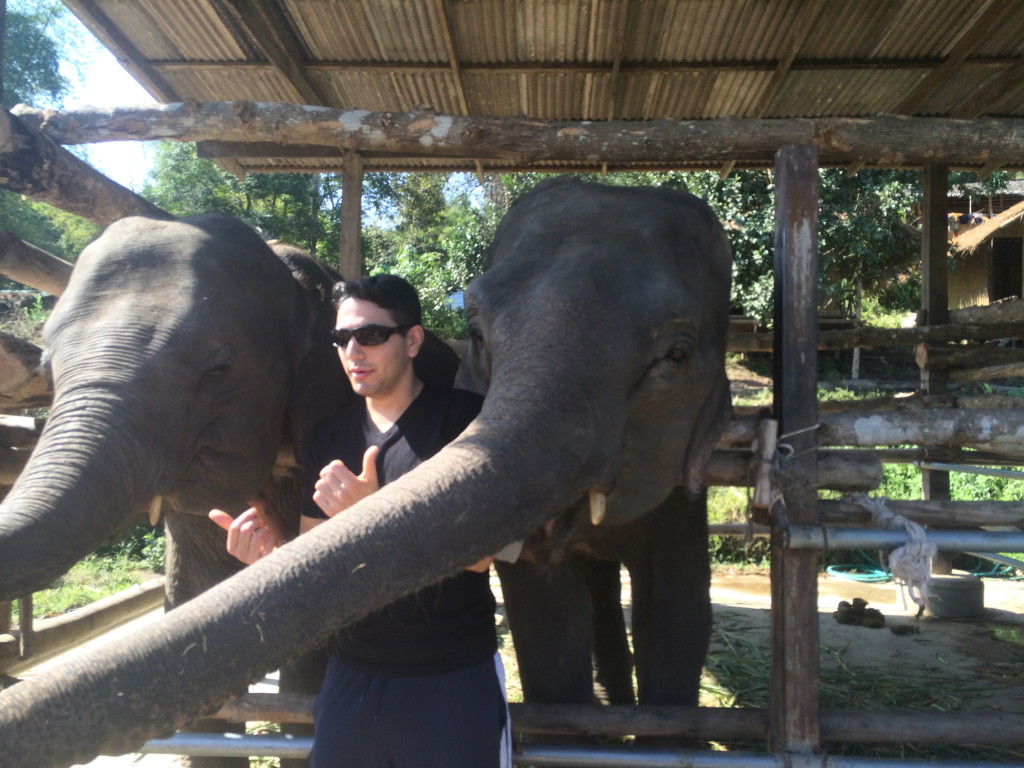 Me with two elephants