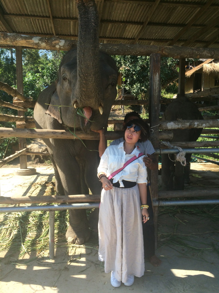 Ying with two elephants