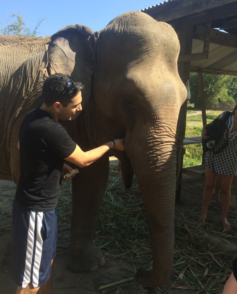 Me feeding an elephant