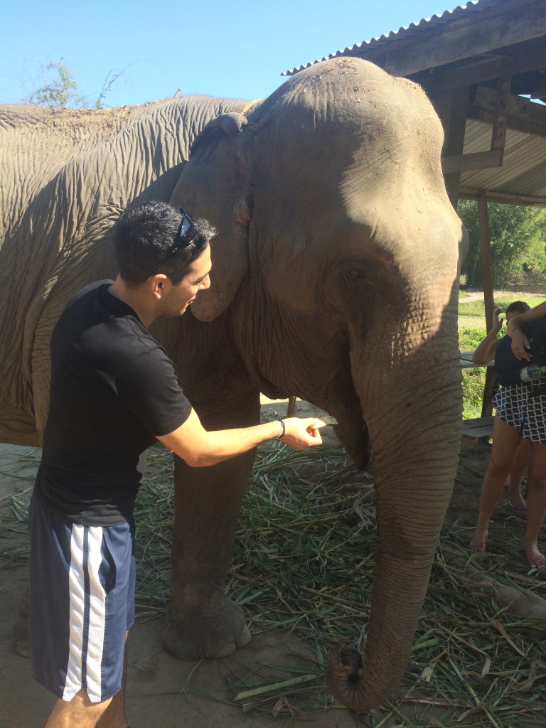 Me feeding an elephant