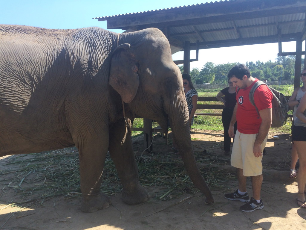 Chris with a 40-year-old elephant