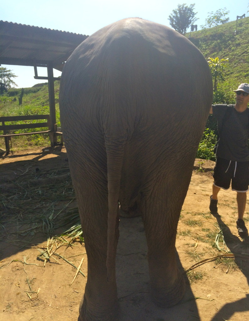 Eli with a 40-year-old elephant