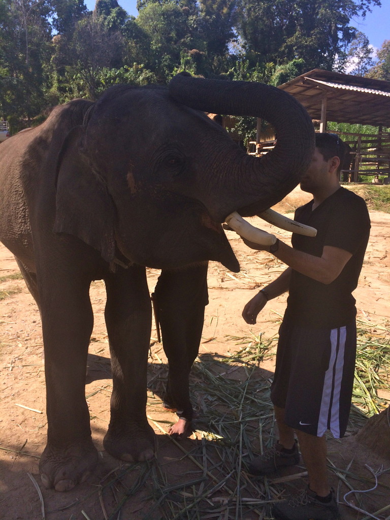 Me feeding an elephant