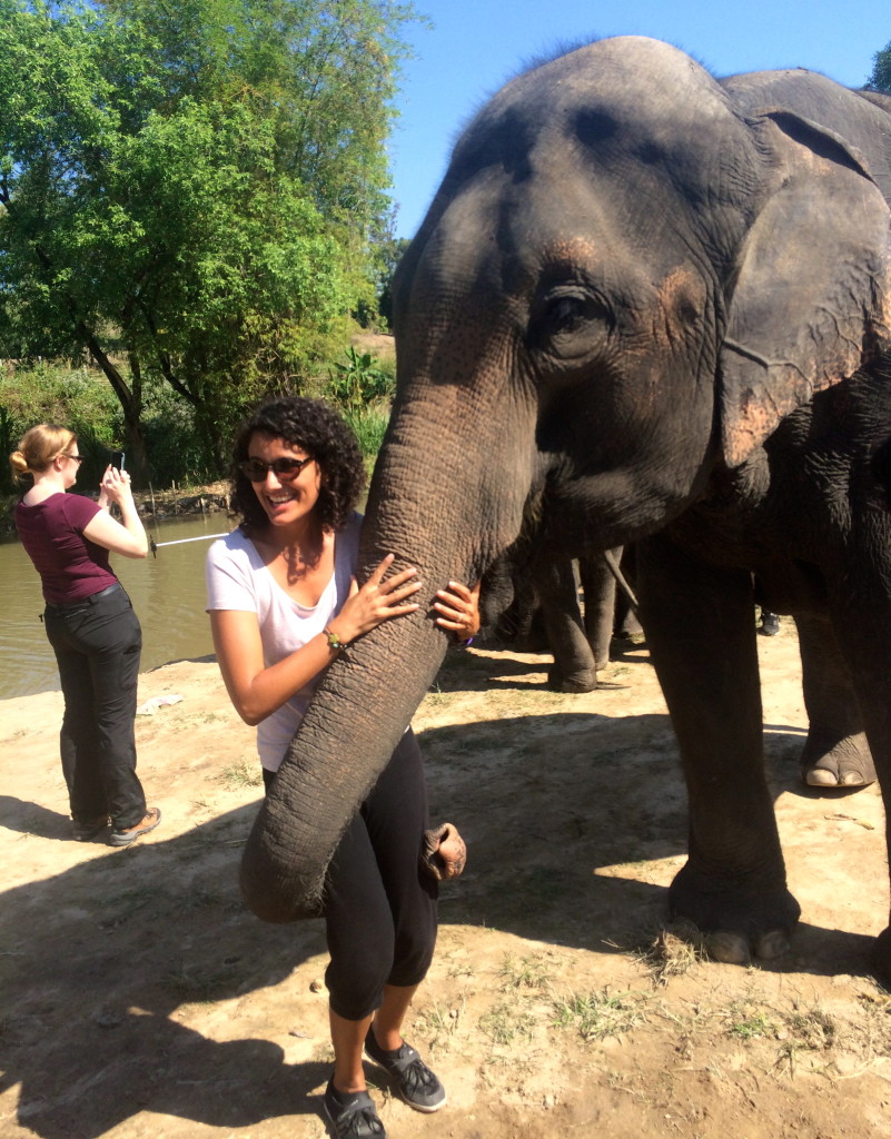 An elephant lifting Noemi