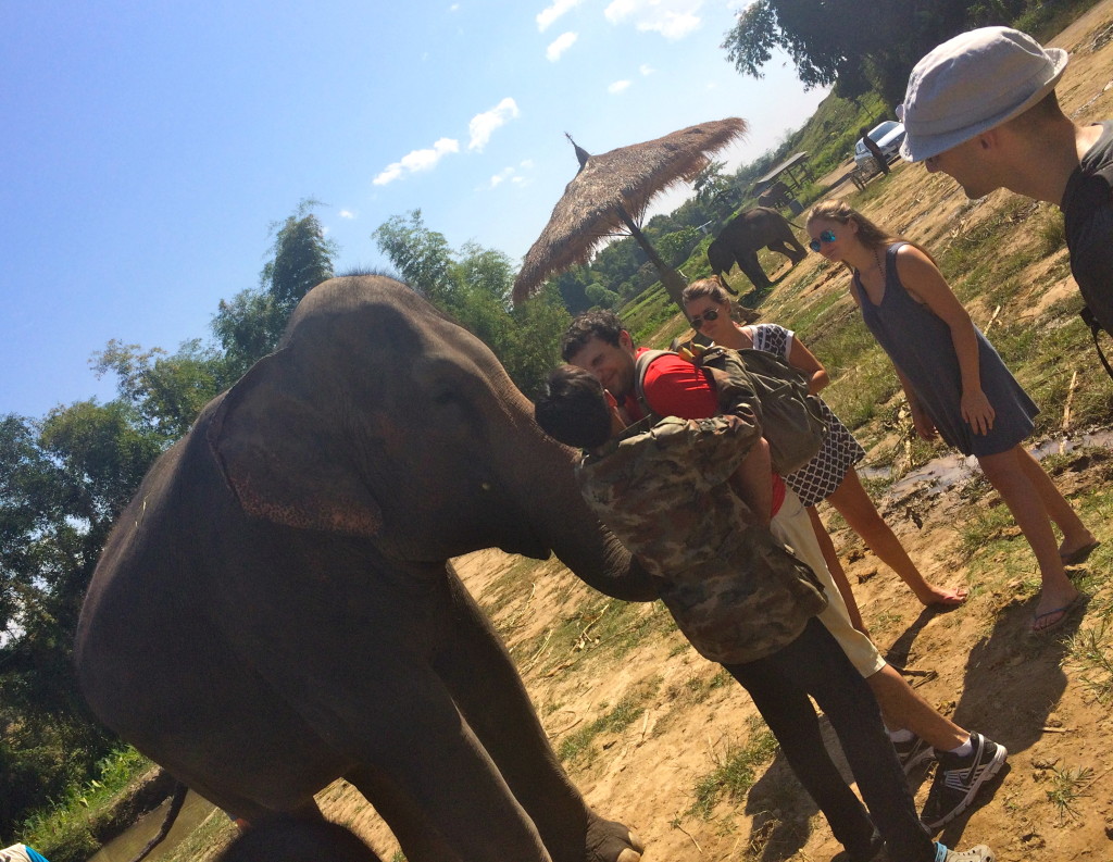 Chris feeding an elephant at Elephant Retirement Park in Chang Wat