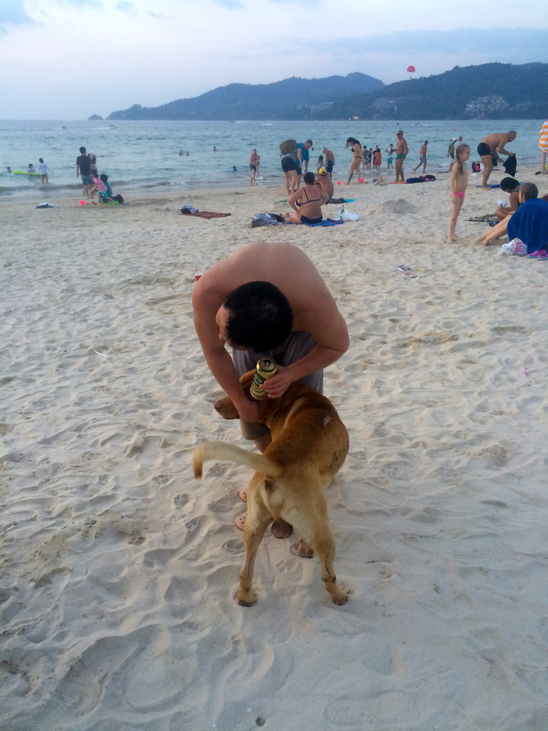 Koyama and Mario the dog at Patong Beach