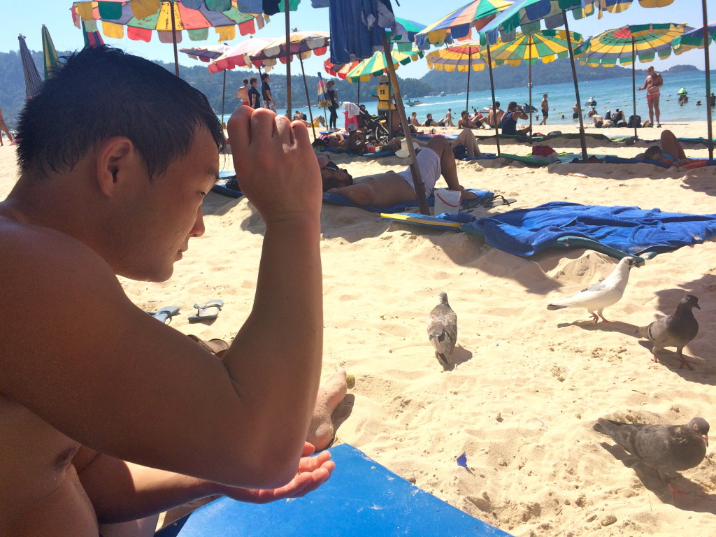 Koyama feeds pigeons at Patong Beach